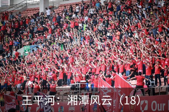 王平河：湘潭风云（1/8）